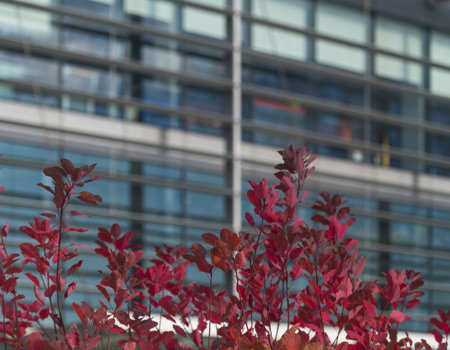 Sustainability at the Heart of the New Campus